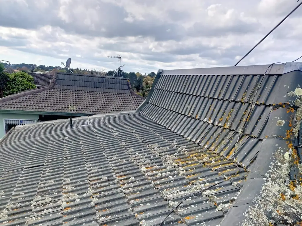 Concrete tile roof with lichen spreading across the tiles and ridge, before cleaning