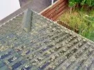 Lichen on a tile roof before washing