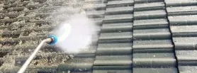 Washing lichen off a concrete tile roof, clean tiles on one side